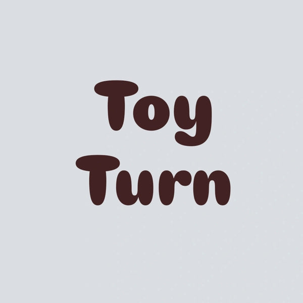 Toy Turn